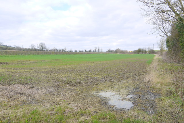 Field near Harolds Farm
