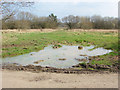 Wet meadow, Broadstreet Common