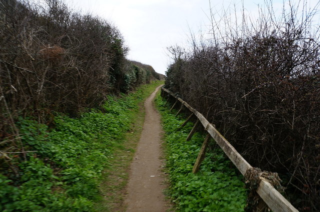 South West coast path towards Grange Point