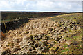 Tussocks on Flaight Hill