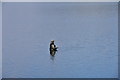 SE1853 : Fishing at Fewston by John Winder