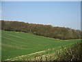 Farmland by Penfold Lane