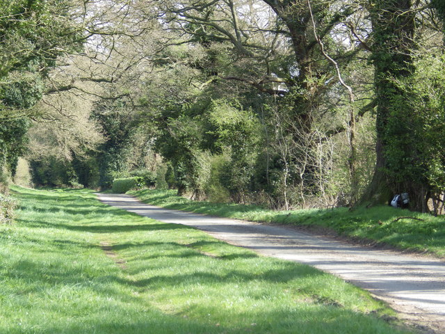 Heath Road, leading to Troston Heath Cottages