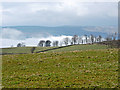 Fields near Inverkip