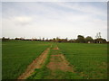 Footpath in Laxfield