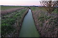 Brent Knoll : Burton Row Rhyne