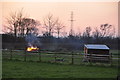 East Brent : Grassy Field