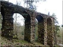 SK2670 : The aqueduct at Chatsworth by pam fray