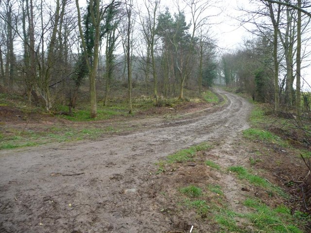 Public footpath to Wilton, west of Yearby Bank