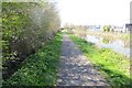 Towpath, Bridgwater and Taunton Canal