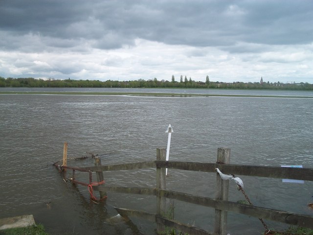 Wet Port Meadow