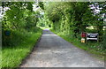 Lane to Birchwood Farm