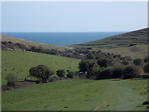 SY9777 : Worth Matravers: path to Winspit by Chris Downer