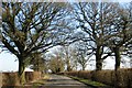 The road to Marsh Gibbon