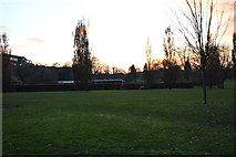 TQ1730 : Horsham Park by N Chadwick