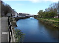 Upstream along the Western Cleddau, Haverfordwest