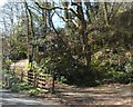 The driveway to Heather Cottage