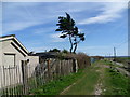 Along the sea wall at Shellbeach