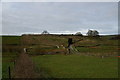 Walkway round boggy ground