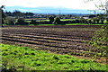 Field beside the A449 at Hartlebury