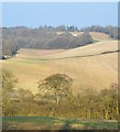 Dry valleys in Faccombe, Hampshire