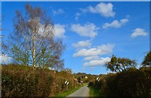 SO5834 : Common Hill Lane, Fownhope by Philip Pankhurst