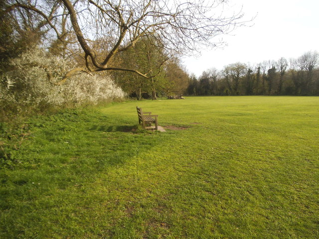 Field on Barnes Common