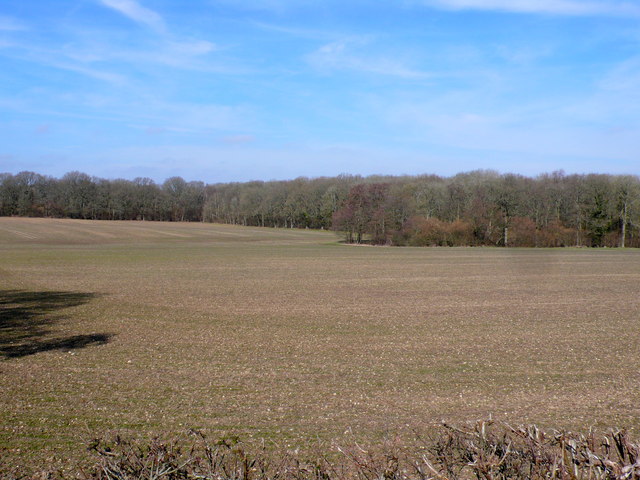 Countryside near Dairy House Farm