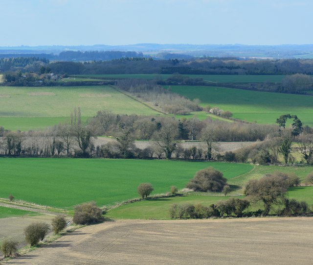 Farmland seen from Rivar Down