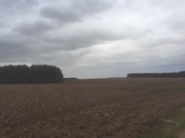 Ploughed fields