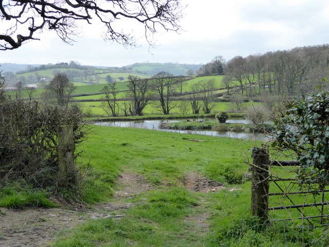 Artificial lake in valley of Offwell Brook (1)