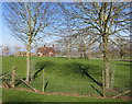 Tree Shadows, Coney Hill Farm