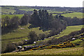 West Somerset : Countryside Scenery