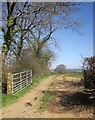 SX3780 : Field entrance east of Felldownhead by Derek Harper