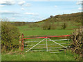 Scarp of the Wolds