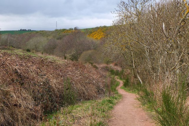 Path up from Bellyford Burn
