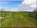 An open field, Kennogue