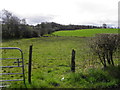 Kennogue Townland