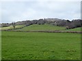 The north slope of the valley of the River Coly