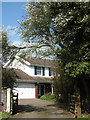 Flowering tree in Church Road, South Lopham