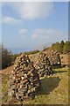 Coffin Cairns