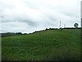 Power lines crossing a drumlin on the north side of the A25 (Ballydugan Road)