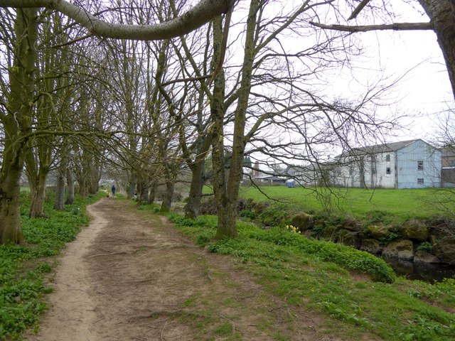 Footpath by River Coly, Colyton