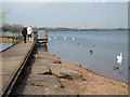 SK0307 : Boardwalk and foreshore, Chasewater, northwest of Brownhills by Robin Stott