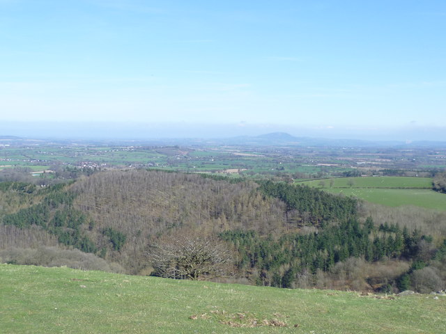 View to the Wrekin from Earl's Hill