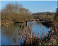 River Soar north of Belgrave