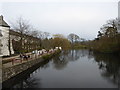 SD3686 : The River Leven at Newby Bridge by Rod Allday