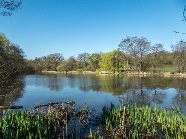 Lake, Trent Park, Cockfosters, © Christine Matthews :: Geograph 