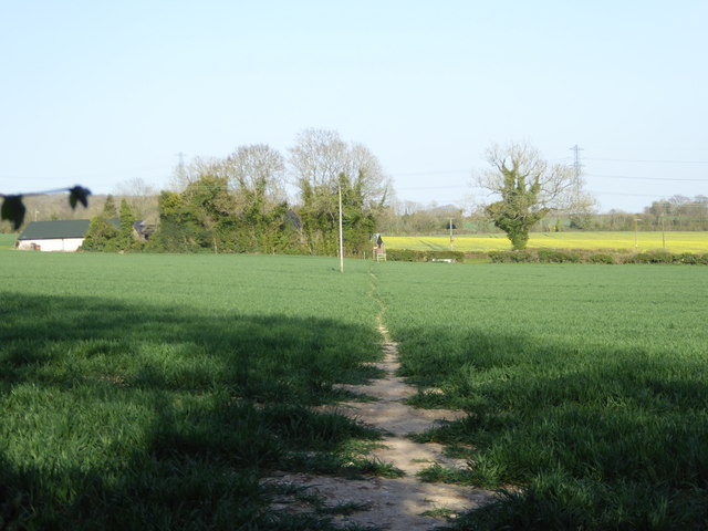 Path going east from North Wood to North Farm