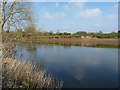 Mud bank on the Severn